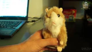 Говорящий хомяк повторюшка Aliexpress распаковка, обзор