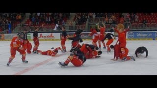 DEG Aftergameparty -Harlem Shake- on ice (19.02.2013)