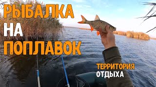 РЫБАЛКА НА ПОПЛАВОК | Красноперка на поплавок | Ловля красноперки на поплавок