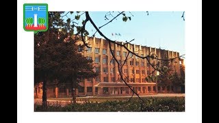 Безнаказанная коррупция Администрации Красногорска и Министерства Обороны РФ. HD