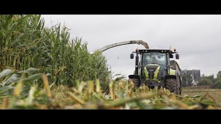 Gospodarstwo - Kiszonka 2019 "Śrubiarze"