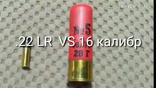 Мелкашка .22LR. Стрельба по патрону 16 калибра.