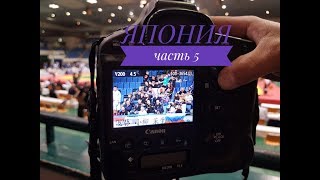Япония. Часть 5. Чемпионат Мира По Кудо 2018