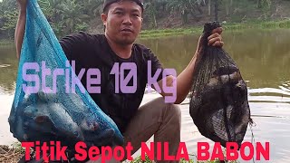 #mancing#ikannila#Nilababon Sarang Nila Babon (Mancing Kolam)