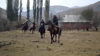 Улак Акыл Жоодар Кызыл-булак