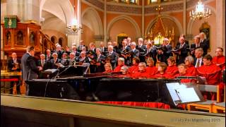S:t Petri Kyrkokör - Kärlekens tid