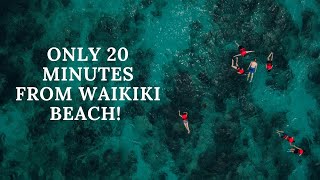 Snorkeling in Hawaii Honolulu (Hanauma Bay) // Ampman.Travels