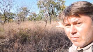 Охота на слона в Африке с Tokkroos Safari - elephant hunting