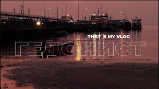 ГЕДОНИСТ VLOG #1 / Как записать первый влог, последние съемки, сборы на зимовку