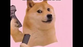Doggo would like to vibe check you