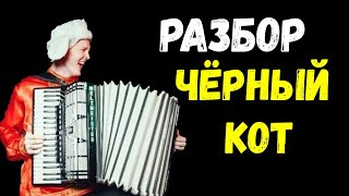 Обучение Песни Черный Кот На Аккордеоне | Разбор  Мелодии Баянист Гармонь | Онлайн Уроки