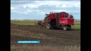 В Башкортостане идет уборка сахарной свёклы