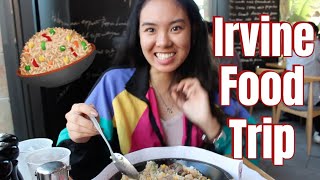 Vlog #14  - Pepper Lunch USA, K1 Speed, Omomo Tea Shoppe