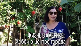 Санта-Моника: Редкая достопримечательность и хобби американцев. Общественные сады в Америке.