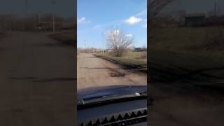Новоюрьево, Староюрьевский р н, Тамбовская область 17.04.2017