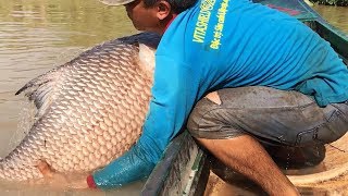 Top 4 Cast Net Fishing - Fisherman vs. River Monsters