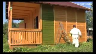 Финишная отделка деревянных поверхностей, Рогнеда