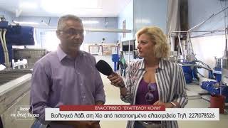 Ελαιοτριβείο Ευάγγελου Κοίλη - Βιολογικό λάδι στη Χίο