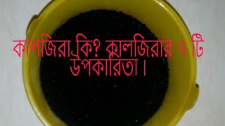 কালজিরা কি? কালজিরার ৭ টি উপকারিতা ।