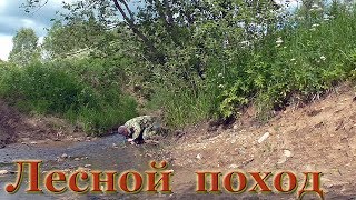 Поход в лес l ПВД l Лесная дорога l Старые урочища