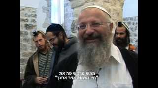 ישיבת ההסדר צפת