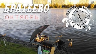 Фидер в октябре. Братеево.