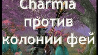 Кач магом на париках в Колонии Фей - полный гайд (а. к