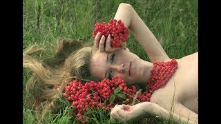 ОФИГЕННАЯ ПЕСНЯ! ВЫ ТОЛЬКО ПОСЛУШАЙТЕ!? Рябиновая ночь
