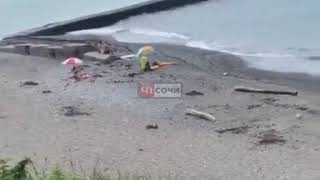 Труп мужчины прибило к берегу в районе Мамайки в Сочи 02.08.19