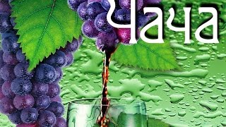 Самогонщик Тимофей. Чача