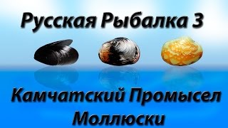 Русская Рыбалка 3.9 Камчатский Промысел Моллюски