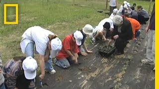 Great Lakes Cleanup | National Geographic