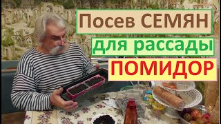 Выращивание рассады помидор своими руками