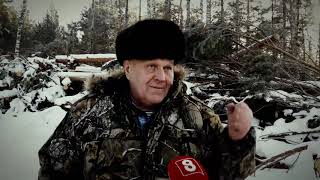 Программа "Актуально" на 8 канале № 1150 "Как воруют Ирбейский лес"