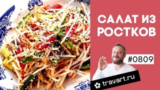 Салат с проростками бобов Китайская кухня ПП рецепт Проростки ТРАВАРТ Животворец Андрей Протопопов