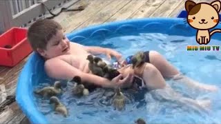 ►Funny And Cute Animals Videos Compilation 2018 [HD] #8 - Cute VN