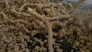 Extruder E1000 wheat  /  Экструдер Е1000 пшеница 2018