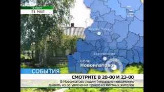 Экологическая катастрофа в сысертском селе