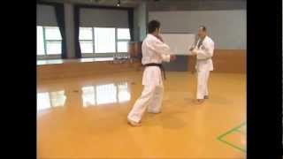 空手道の頂点を極めろ！西村誠司組手テクニックセミナー2karatedo