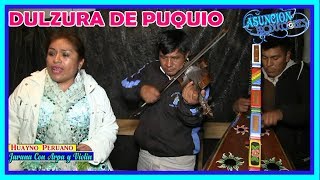 JARANA ARPA Y VIOLIN CON DULZURA DE PUQUIO