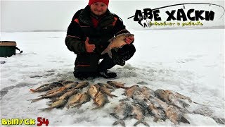 ПОИСК АКТИВНОГО ЛЕЩА! РАБОЧИЙ МЕТОД.  Зимняя рыбалка на водохранилище