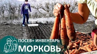 Посадка моркови весной по технологии Гордеевых