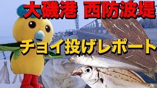 大磯港チョイ投げヒイラギ爆釣シロギス貧果いそべぇに遭遇
