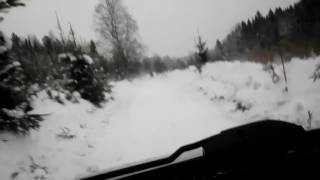 Погоня со стрельбой. Браконьер убил медведя и на снегоходе скрывается от полиции.Тюмень 28 января 17