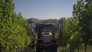 Claas Nexos - საუკეთესო ტრაქტორი თქვენი ვენახებისთვის
