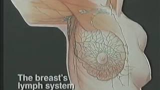 How to Do Your Monthly Breast Self Examination Video