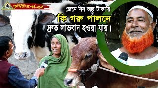 213 Cow Farm জেনে নিন অল্প টাকায় কি গরু পালনে দ্রুত লাভবান হওয়া যায়।গরুর খামার, গরু পালন ।