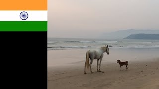 Agonda beach - 11/15 #itstartswithastep #india #adventures #Goa #Agonda #beach