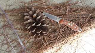 SOG Huntspoint S30V Boning Knife HT023L-CP - video demo
