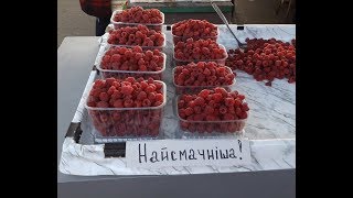 Малина Маравилла - на оптовом рынке сегодня